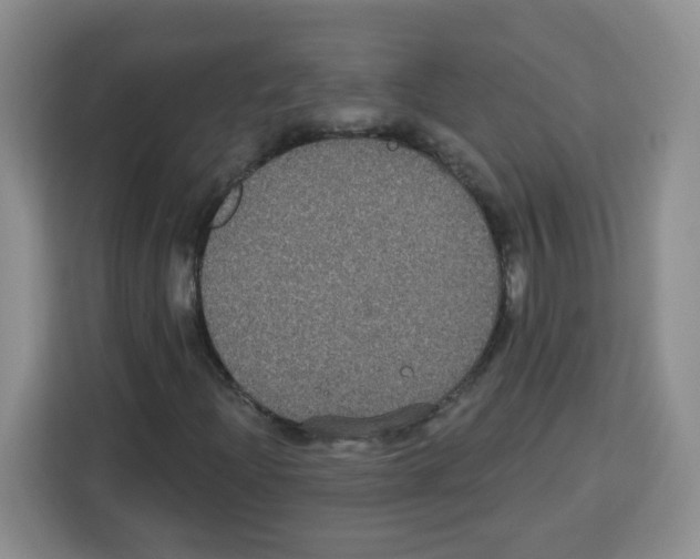 X0000113271204200910221052