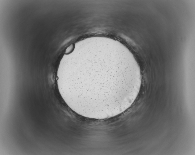 X0000113271206200910221052