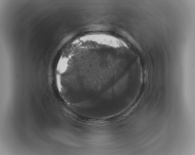 X0000113271213200910221052