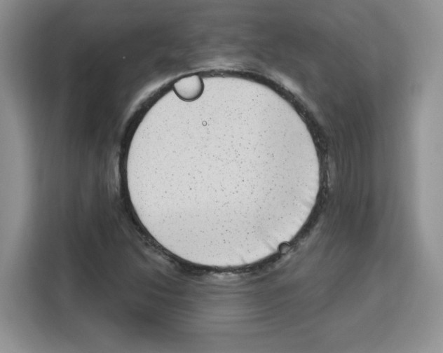 X0000113271214200910221052