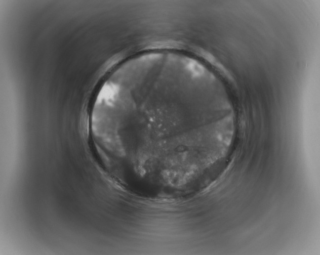 X0000113271221200910221052