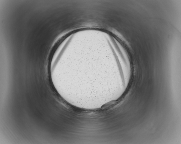 X0000113271222200910221052