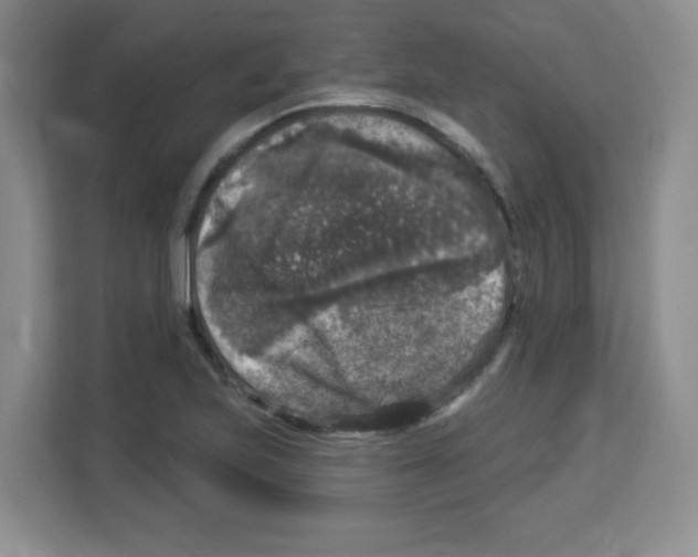 X0000113271223200910221052