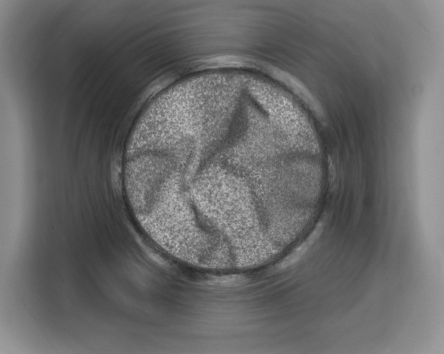 X0000113271225200910221052