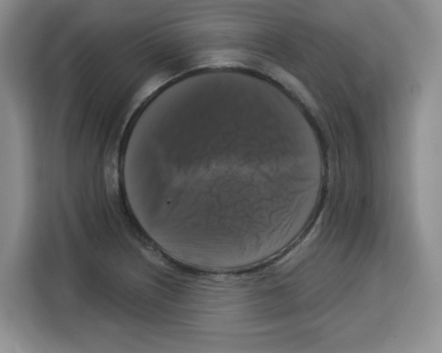 X0000113271226200910221052