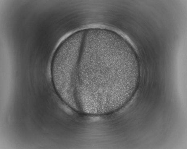 X0000113271230200910221052