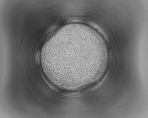 X0000113271233200910221052