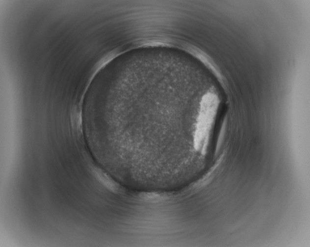 X0000113271234200910221052