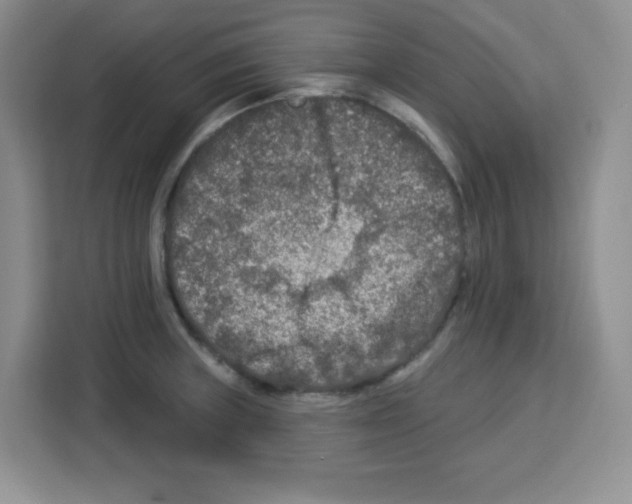 X0000113271235200910221053