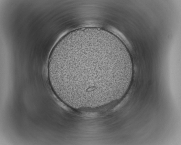 X0000113271236200910221053