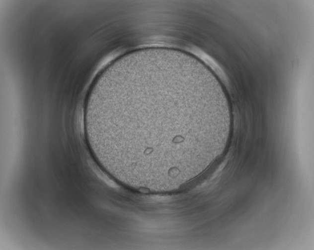 X0000113271238200910221053