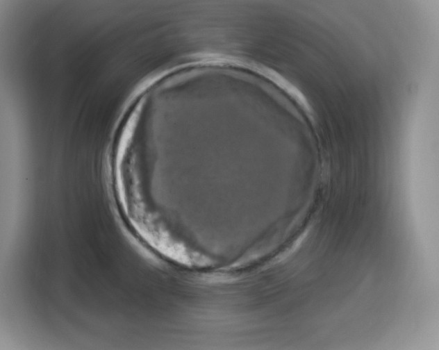 X0000113271239200910221053