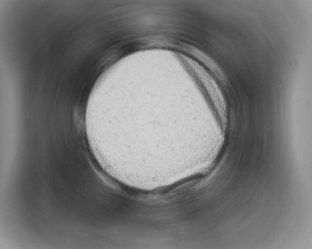 X0000113271241200910221053