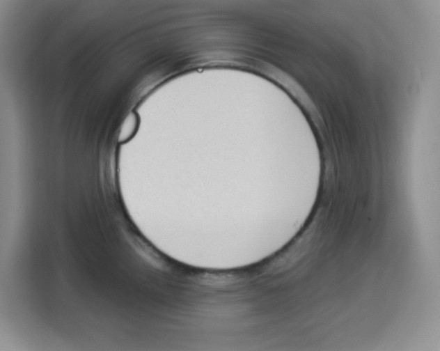 X0000113271242200910221053