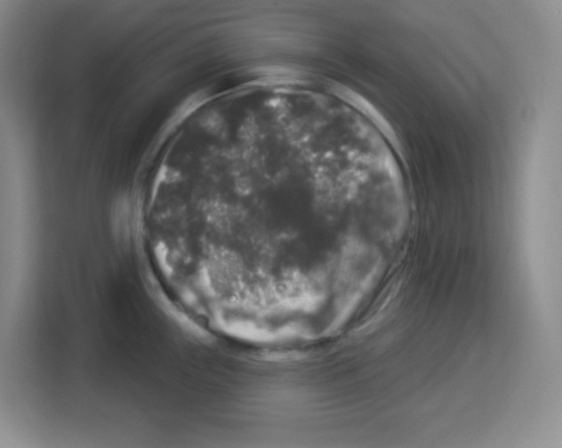 X0000113271243200910221053