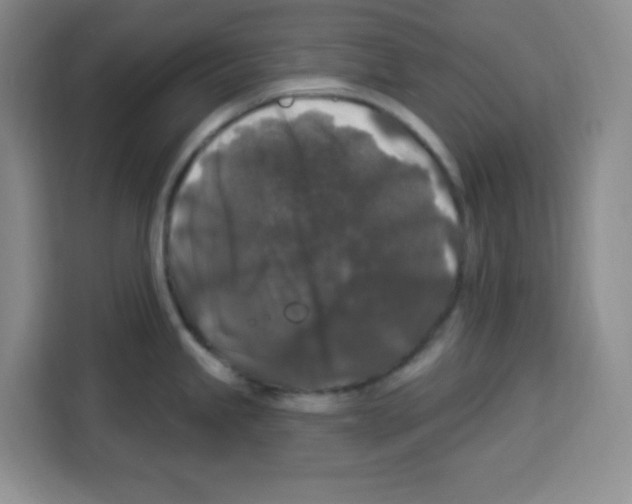 X0000113271245200910221053