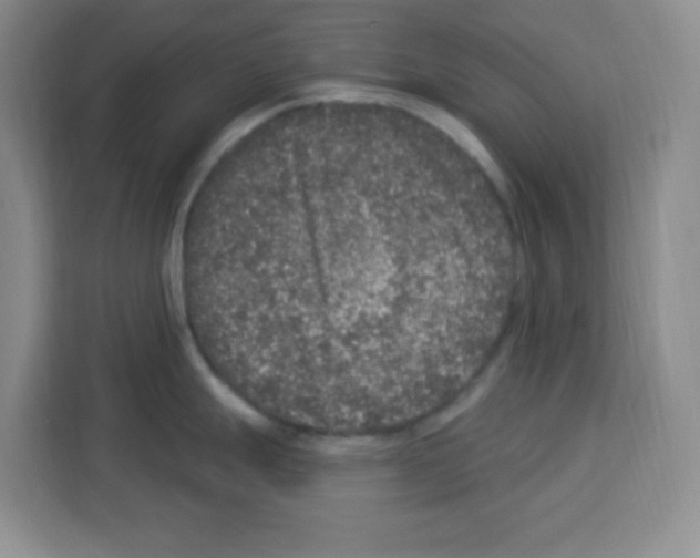 X0000113271247200910221053