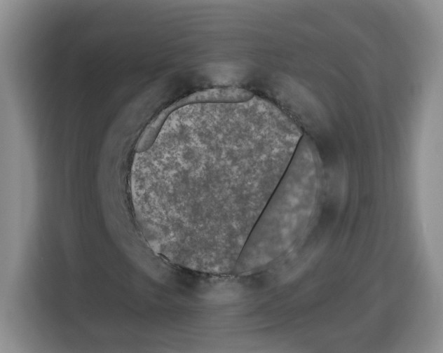 X0000113271249200910221052