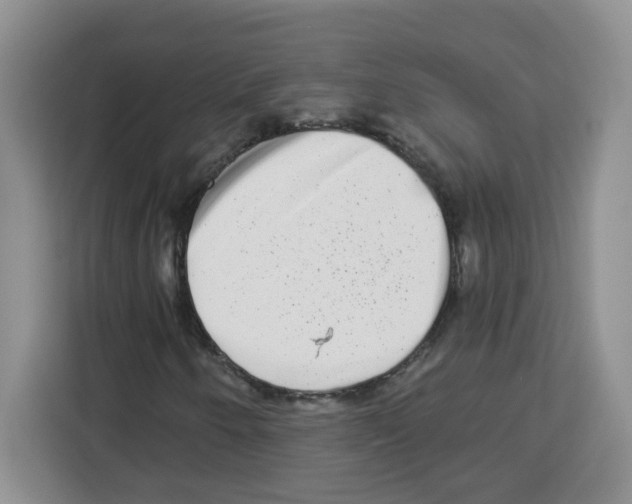 X0000113271250200910221052