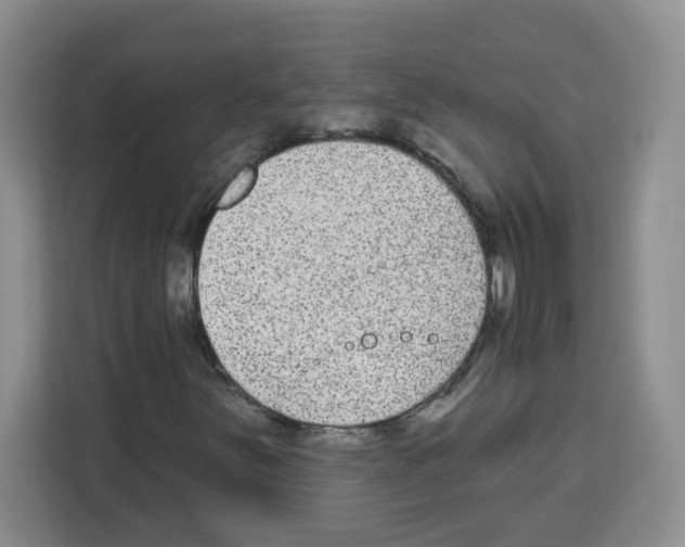 X0000113271251200910221052