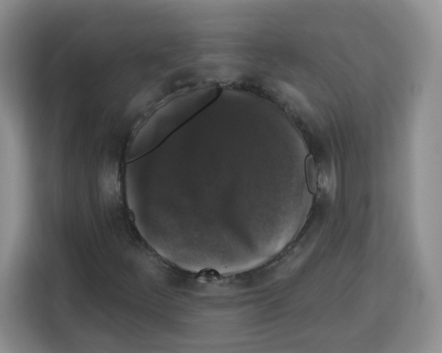 X0000113271252200910221052