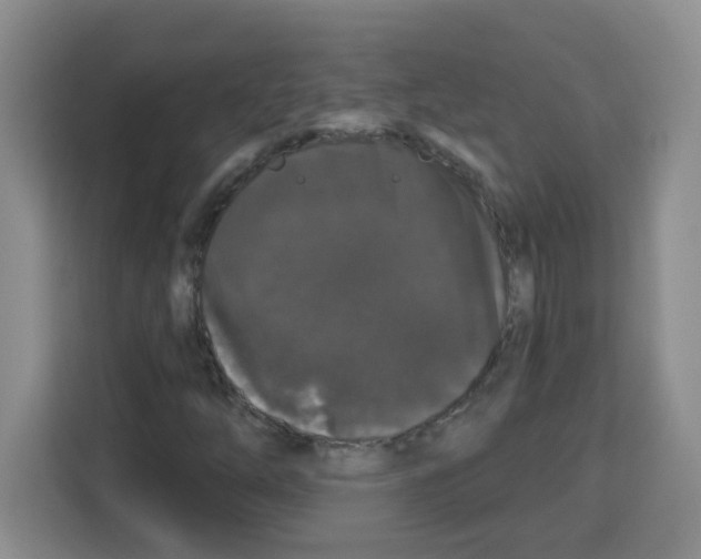 X0000113271254200910221052