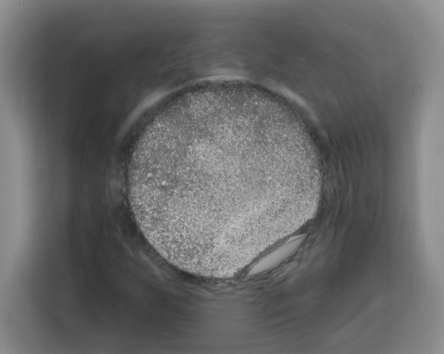 X0000113271255200910221052