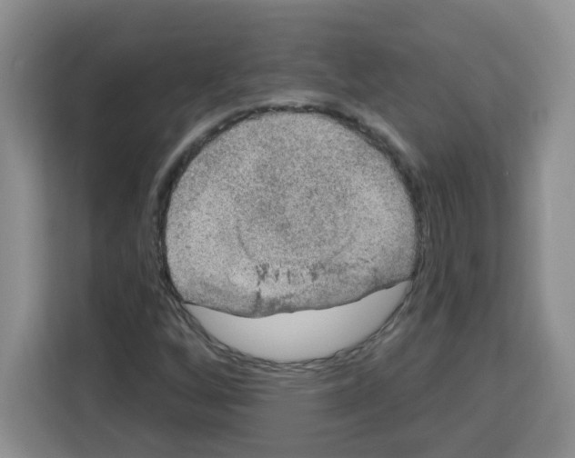 X0000113271256200910221052