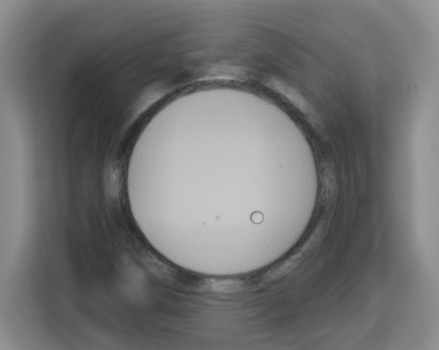 X0000113271258200910221052