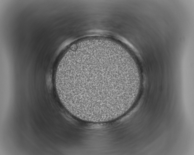 X0000113271259200910221052