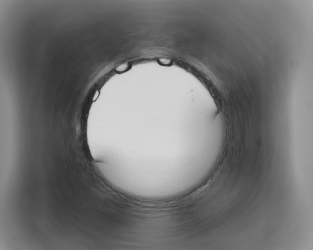 X0000113271261200910221052