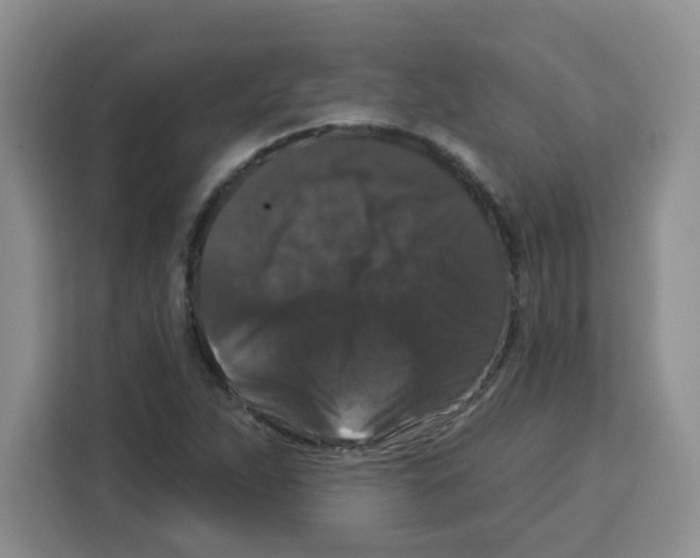 X0000113271263200910221052