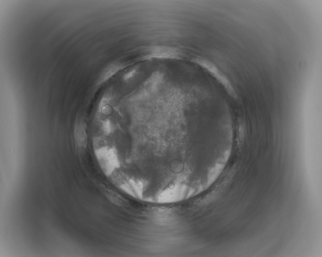 X0000113271266200910221052