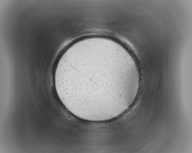 X0000113271267200910221052