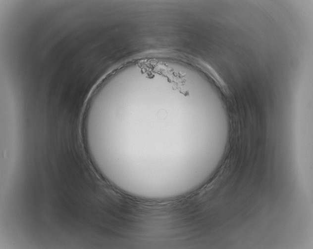 X0000113271268200910221052