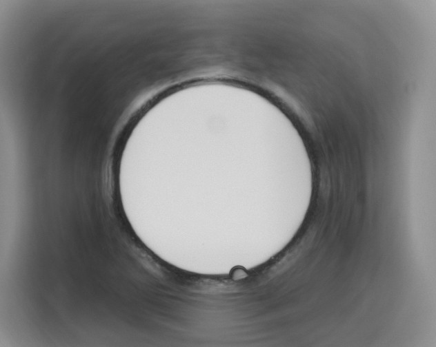 X0000113271270200910221052