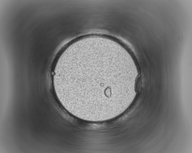 X0000113271271200910221052