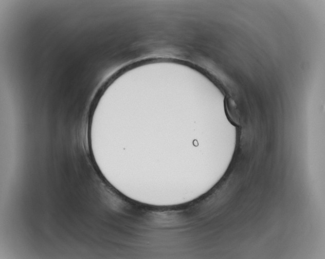 X0000113271272200910221052