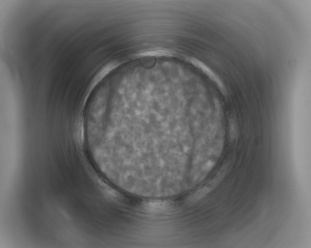 X0000113271274200910221052