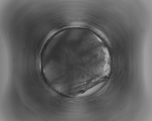 X0000113271275200910221052