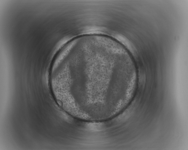 X0000113271277200910221052