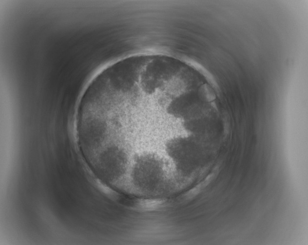 X0000113271278200910221052