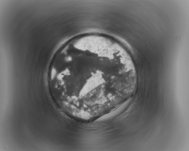 X0000113271279200910221052