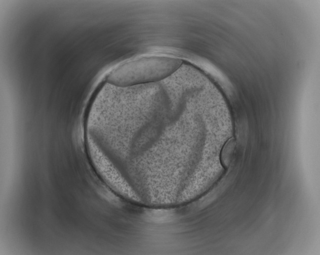 X0000113271280200910221052