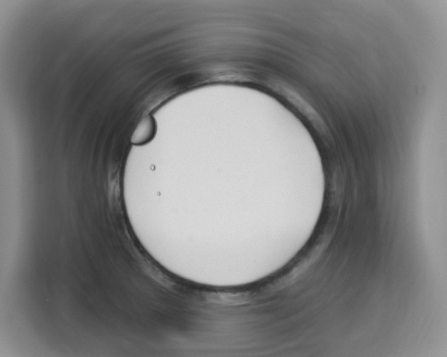 X0000113271281200910221052