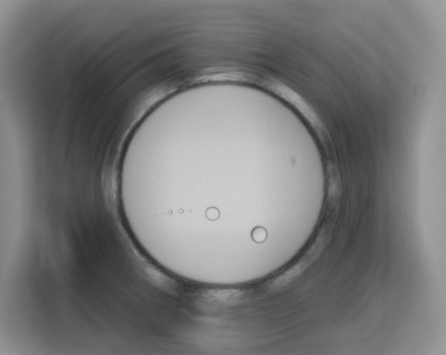 X0000113271282200910221052