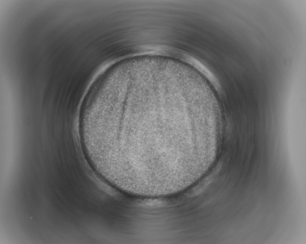 X0000113271283200910221052