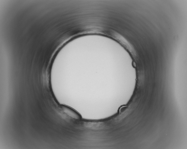 X0000113271284200910221052