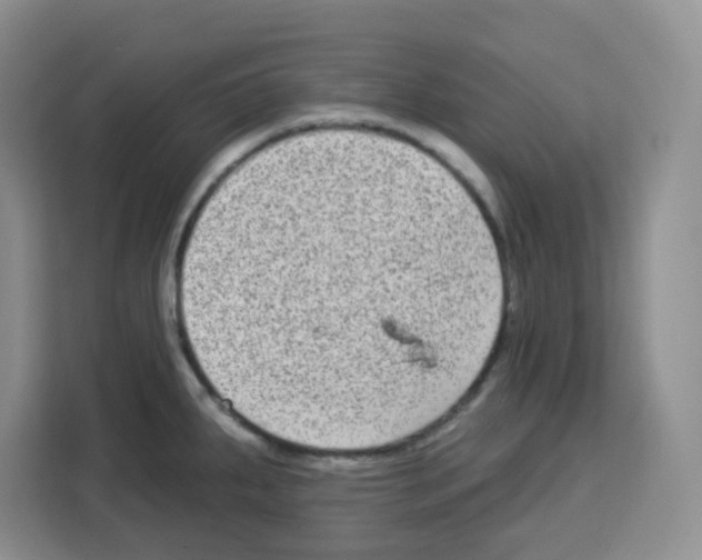 X0000113271287200910221052