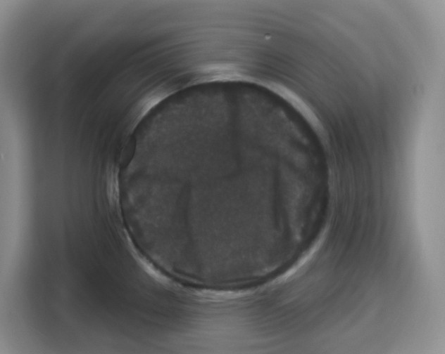 X0000113271289200910221052